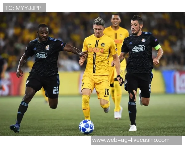 萨格勒布迪纳摩足球俱乐部的辉煌历程与未来发展展望